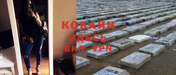 индика Алексеевка