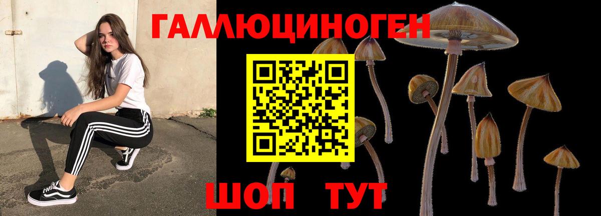 Псилоцибиновые грибы мицелий  Вход с VPN  Протвино 