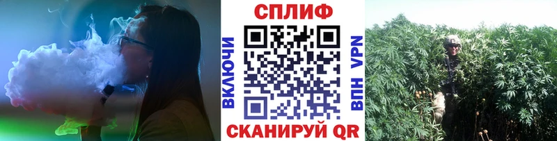 Бошки Шишки планчик  хочу   Протвино 